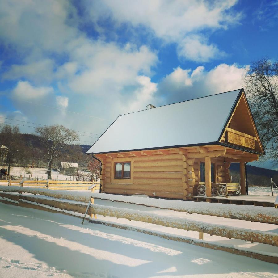 Sudecki Dym Z Kominkiem Kolo Karpacza. Agroturystyka Janowice Wielkie Εξωτερικό φωτογραφία