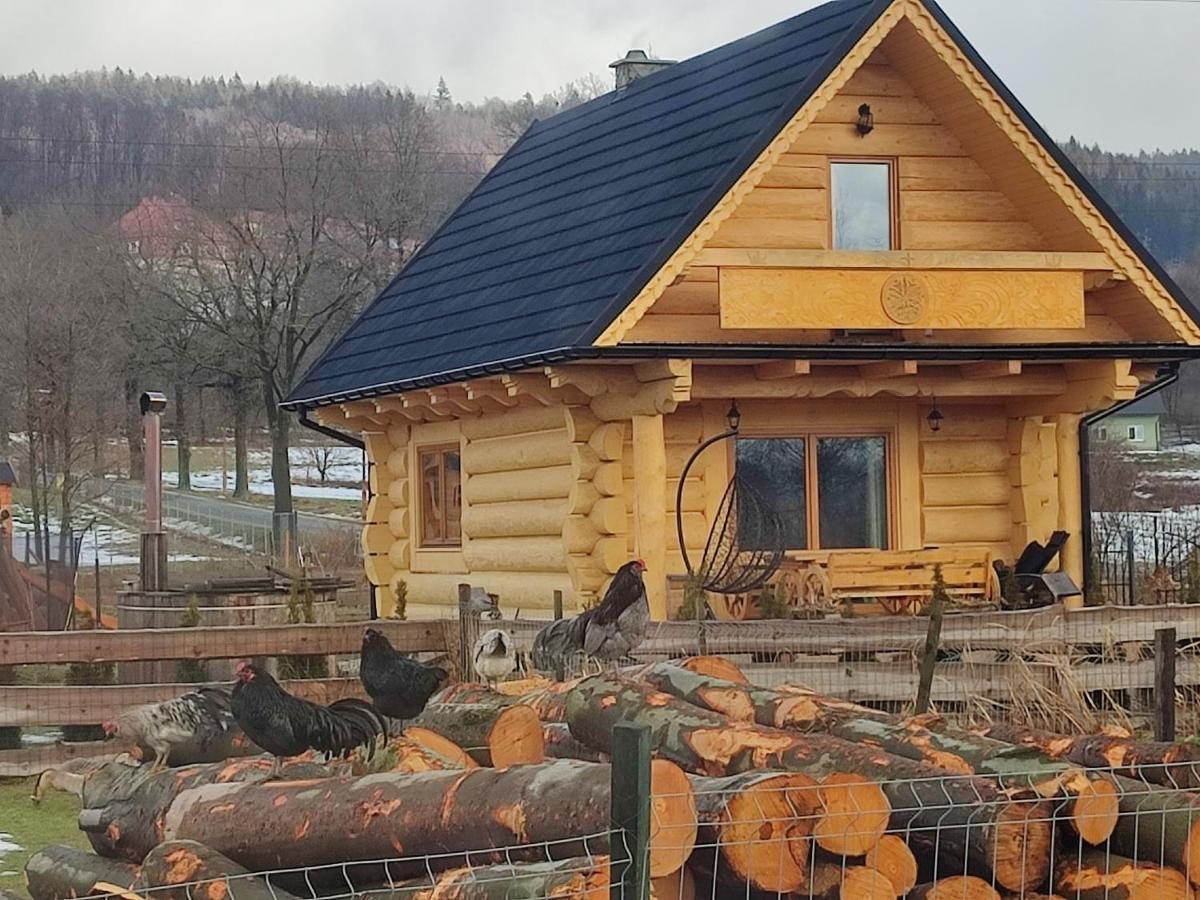 Sudecki Dym Z Kominkiem Kolo Karpacza. Agroturystyka Janowice Wielkie Εξωτερικό φωτογραφία